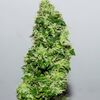 CBD Crack Auto, Фасовка: 5, изображение 4